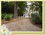 Rouen_DCA (29)